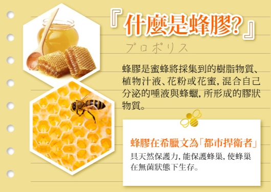 蜂膠功效喉嚨：天然護喉的科學實證與實用指南