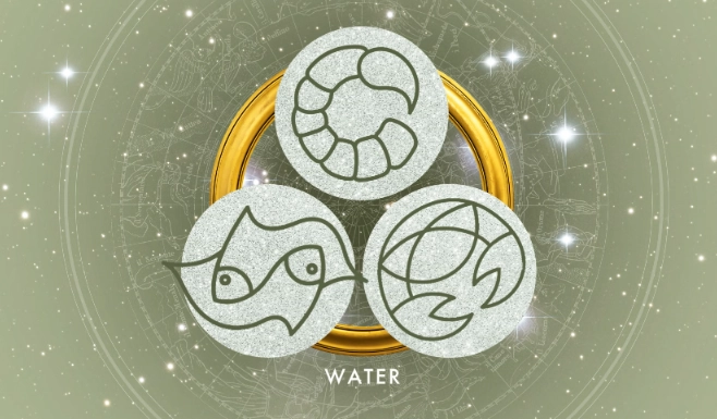 水象星座特質全解析：巨蟹、天蝎、双鱼的情感核心与实用相处指南