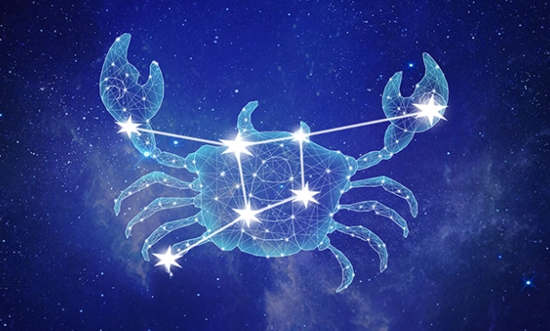 水象星座地雷 水象星座地雷