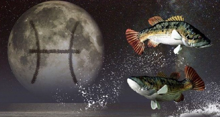 獅子座上升雙魚 性格 獅子座上升雙魚 性格