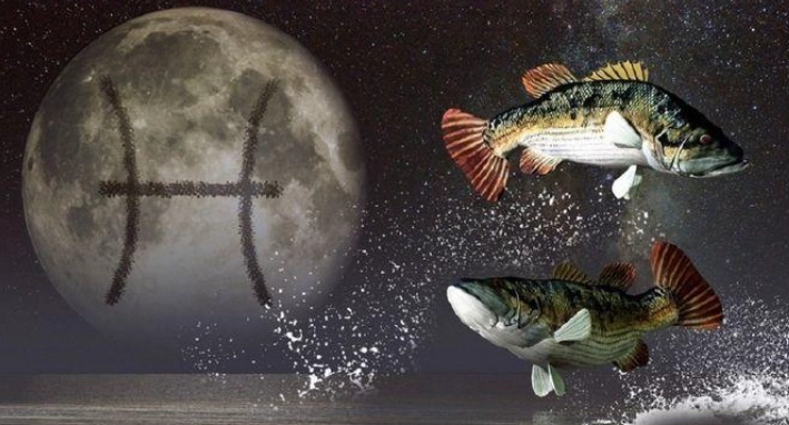 上升雙魚太陽雙魚深度解析：雙重海洋能量的天賦、挑戰與生存指南