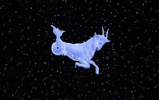摩羯座星座配对 摩羯座星座配对