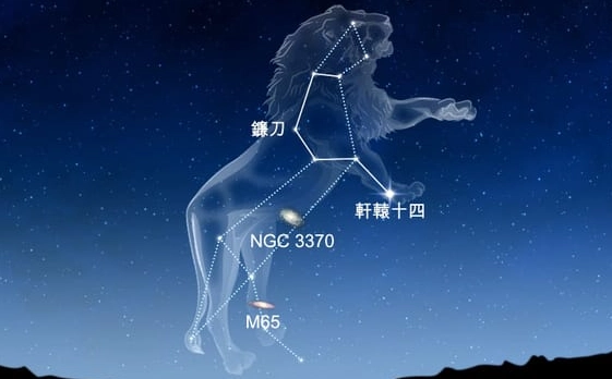 如何讓獅子男回頭