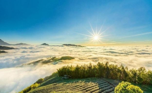 南投新景點