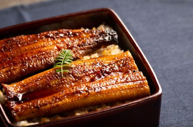京都溫泉飯店 京都溫泉飯店