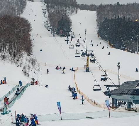 高雄滑雪 高雄滑雪