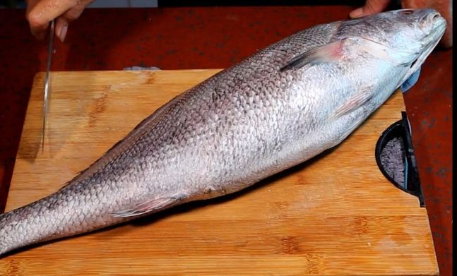 鮸魚料理 鮸魚料理
