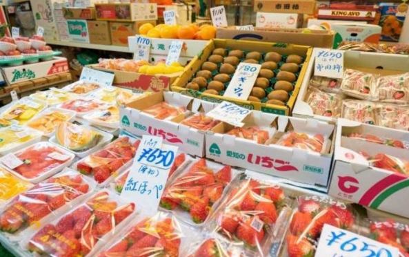 大阪木津市場