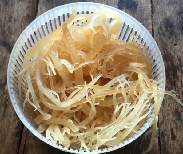 海燕窩功效禁忌 海燕窩功效禁忌