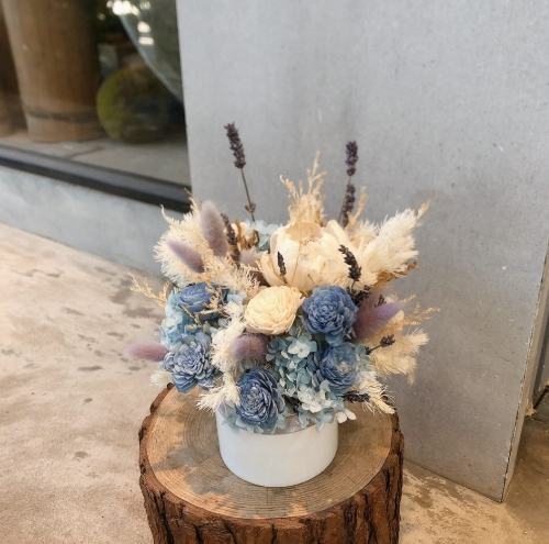 藍色花象徵意義 藍色花象徵意義