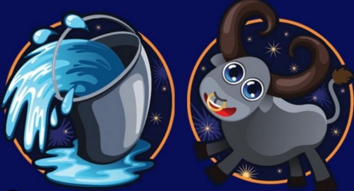 水瓶金牛合嗎 水瓶金牛合嗎