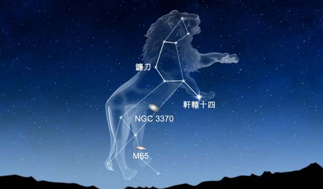 獅子女暗戀行為 獅子女暗戀行為