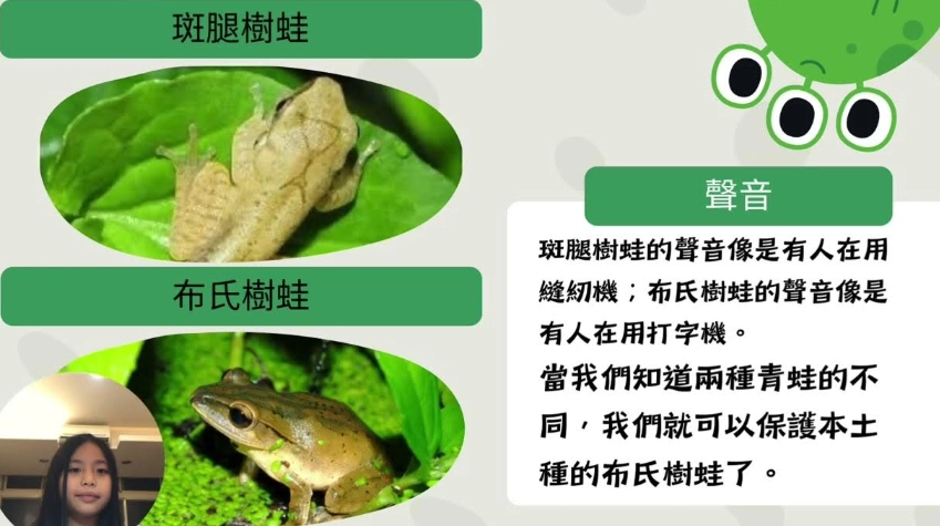 樹蛙辨識方法 樹蛙辨識方法