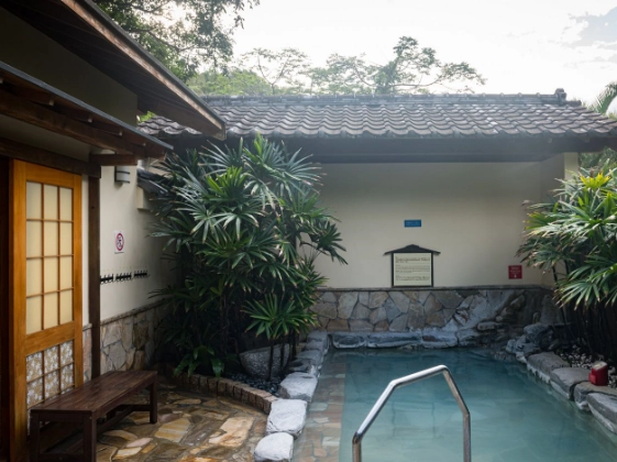 知本純泡湯