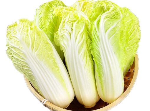 高山蔬菜食譜 高山蔬菜食譜