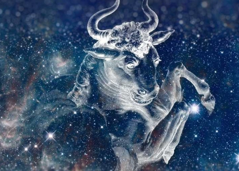 金牛座不合星座